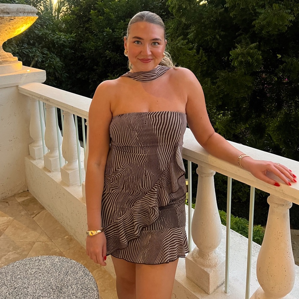 Zara Zebra Scarf Mini Ruffle Dress